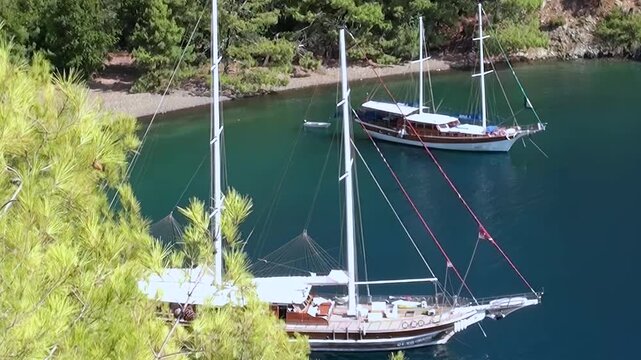 Two elegant sailing gulets rest in a pristine Mediterranean bay. Lush green pine trees frame the tranquil waters, revealing a serene pebble beach under warm daytime sun. A perfect idyllic escape.