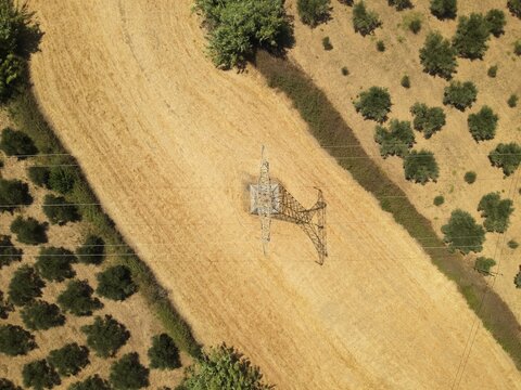 Aerial view of an electricity pylon standing in a dry golden field surrounded by rows of olive trees in Chania, Greece.