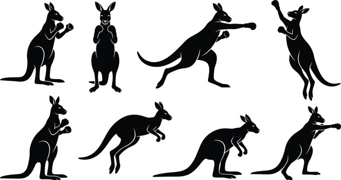 Black kangaroo silhouette collection with jumping and boxing poses, Australian wildlife animal shapes for modern nature designs