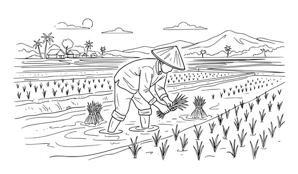 Create a minimalist continuous one-line vector illustration of a farmer planting rice seedlings in a flooded paddy field. Show one farmer bending forward while carefully placing young rice plants into