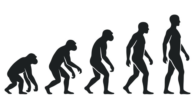 Human Evolution Silhouette - From Ape to Man