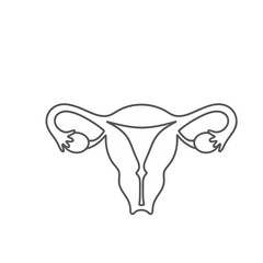 Fototapeta premium Uterus and Fallopian Tubes Line Art