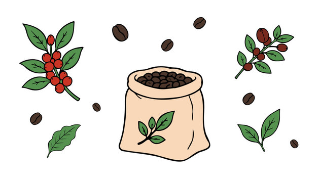 Coffee beans set with coffee plant branches, burlap bag and leaves. Collection for cafe branding packaging menus labels