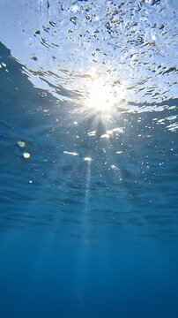 Sunlight filters through clear ocean water, creating shimmering reflections and bubbles, showcasing the beauty of underwater light and movement in a serene aquatic environment