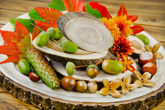 Nat&uuml;rliche Dekoration im Herbst mit Kastanien, Eicheln, Blumen und Herbstlaub auf Holz
