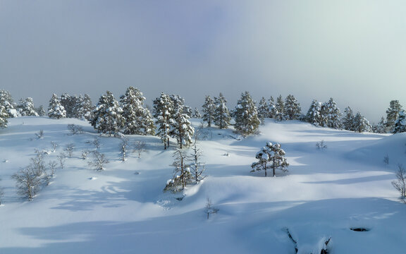 Aerial view of snow-covered pine trees and rolling hills in a winter landscape under a soft sky in Valldal, More og Romsdal, Norway.