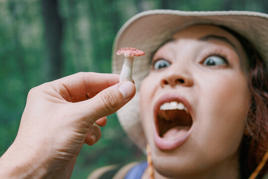 Wide-eyed woman in sun hat funny eating tiny wild mushroom close to her open mouth. Foraging concept.