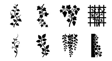 Fototapeta premium Botanical Vector Elements: Vine Swirls, Leaf Sprays, and Grape Clusters, Decorative Plant Silhouettes for Nature Designs