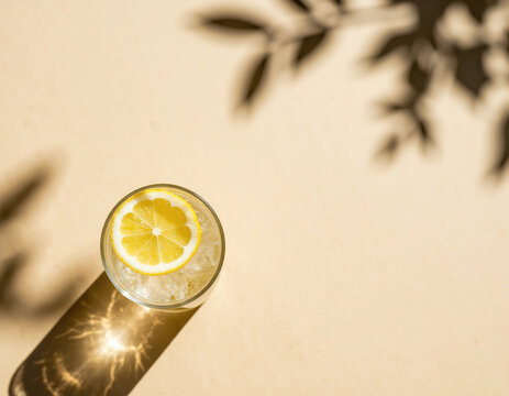 Top view of refreshing iced lemon soda glass with yellow citrus slice and harsh botanical leaf shadows on beige background