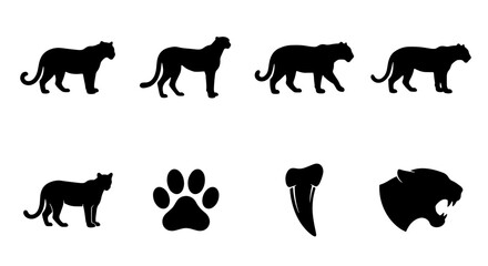 Fototapeta premium Big Cat Silhouettes Vector Pack: Panther, Jaguar, Leopard Icons, Paw Print, Tooth, Head Graphics for Wildlife and Safari Designs