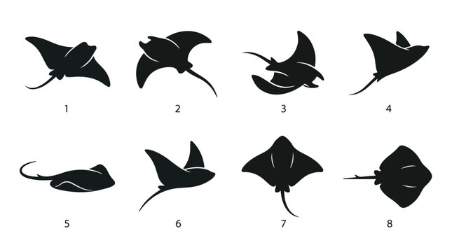 A set of eight stingray in various poses silhouette vector icon illustration on a white background
