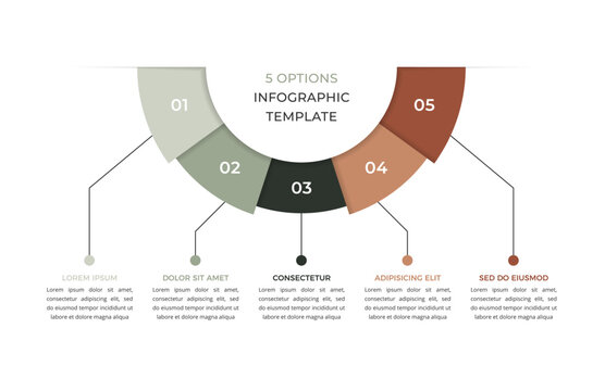 Semicircular five option infographic template with labeled segments