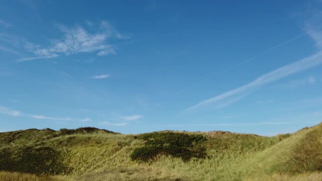 Dunes with grass and a blue sky