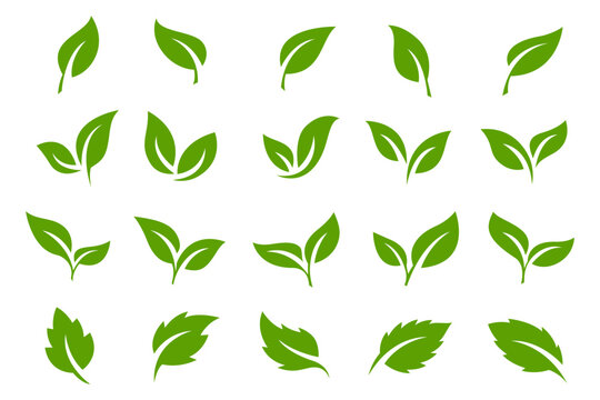 Minimal Leaf Sprout Botanical Logo Element Set for Organic Branding, Eco Products and Natural Packaging