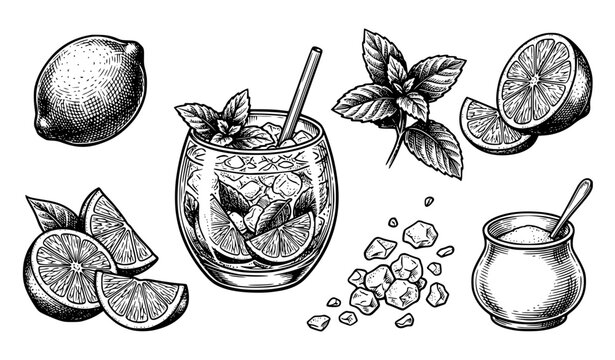 Mojito cocktail drink with lime mint and garnish retro vintage vector