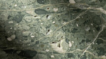 Green marble stone texture background, natural mineral surface with organic veins, dark emerald rock pattern for architectural design © saba studio