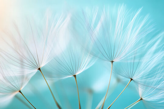 Macro cyan dandelion seeds texture background for sensitive skincare and mental healing blog layout