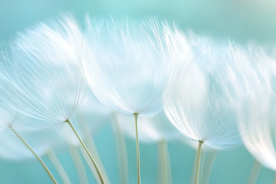 Dreamy cyan background glowing dandelion seeds close up for women healthcare and natural serum ad