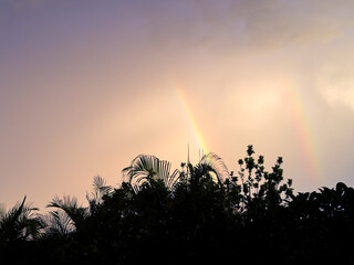 Fototapeta premium Double rainbow above silhouetted tropical garden
