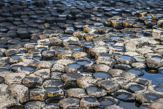 Close up of hexagonal basalt columns at the famous Giant's Causeway, County Antrim, Northern Ireland, UK