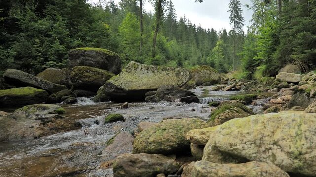 Kwisa River Rapids Over Mossy Boulders, Karkonosze, Poland