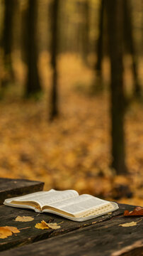 Open bible rests on a rustic wooden table surrounded by autumn leaves