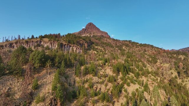Panoramic flight over pine forest toward Nevado de Colima (Zapotepetl) mountain peak in Jalisco, Mexico.