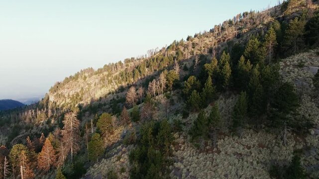 Nevado de Colima (Zapotepetl) National Park panoramic view over steep forested mountainside with pine trees and rugged terrain in Jalisco, Mexico. Pan right ascending aerial shot.