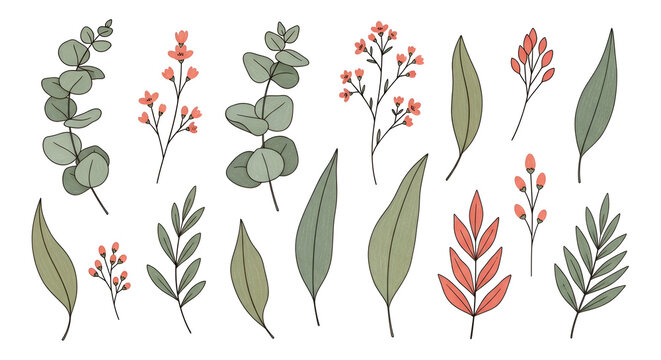 Hand-drawn botanical collection with eucalyptus leaves and apricot-colored flowers in a minimalist nature-themed vector illustration set