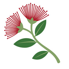 Naklejka premium Red Pohutukawa Flowers Illustration Isolated on White Background