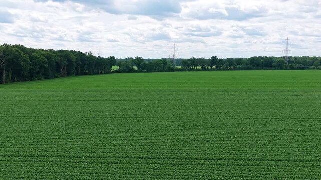 Green nature energy. Landscape of electric voltage station. High voltage. Electricity pylon outdoor. Nature summer environment. Electricity tower. Electricity power lines in nature landscape.