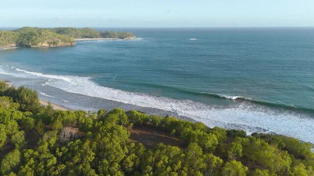 Aerial view of lush green coastal forest meeting the sandy beach and blue ocean waves in Pacitan, East Java, Indonesia.