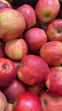 Pile of fresh red and yellow apples in a crate showing natural textures and vibrant colors