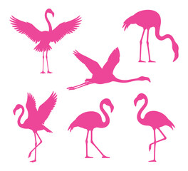 Obraz premium Set of pink flamingo silhouettes in various poses including standing walking and flying on white background