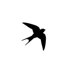 Fototapeta premium Black silhouette of a flying swallow bird