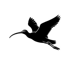 Naklejka premium Black silhouette of a flying ibis bird