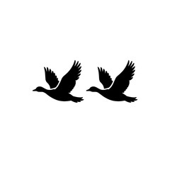 Fototapeta premium Black silhouette of two flying ducks isolated vector