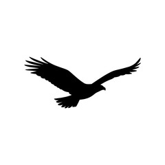 Naklejka premium Eagle bird flying silhouette vector icon