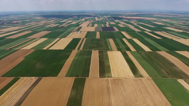 Aerial view of vast agricultural fields with geometric patterns of green and golden crops stretching across the rural landscape of Serbia.