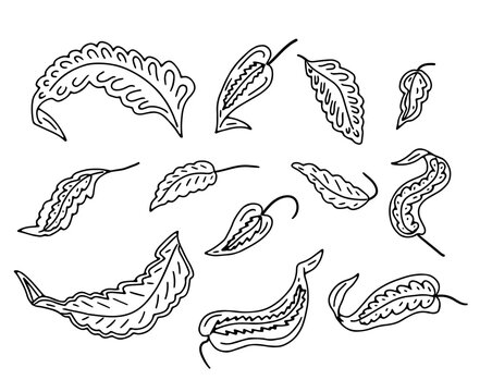 Monochrome Jacobean floral folk motifs set. Vintage black and white botanical leaves bundle. Hand drawn vector