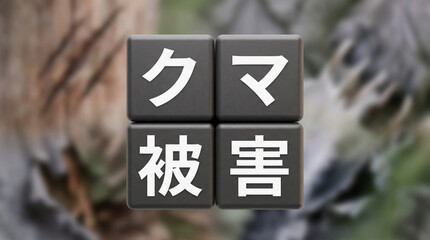 Obraz premium 「クマ被害」の文字を配置したブロックで表現する野生動物問題の概念素材