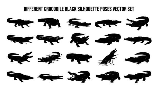 Crocodile Action Black Silhouette Vector Collection