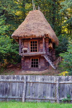 Tall wooden hut with thatched roof beside forest in a traditional rural setting in Romania