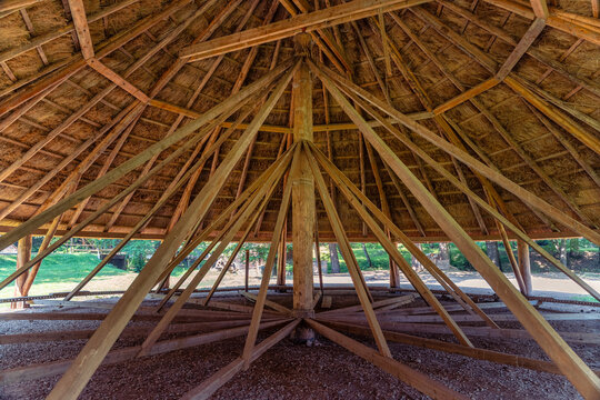 Interior view of radial wooden roof beams beneath a large traditional thatched structure in Romania
