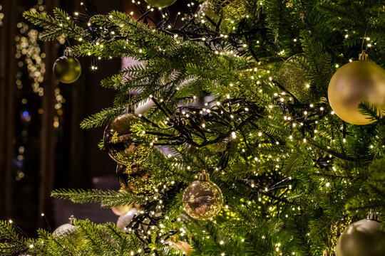 Christmas tree branches with sparkling garland lights against a dark background, selective focus. A cozy Christmas home.