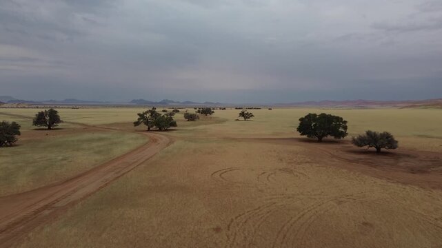 Namibian landscape, drone flight over the arid African savannah