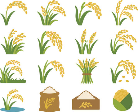 Rice Plant Icon Set Illustration
