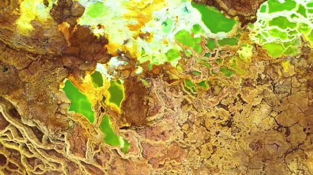 Aerial view of vibrant neon green and yellow mineral pools surrounded by cracked brown earth in the geothermal landscape of Dalol, Afar, Ethiopia.