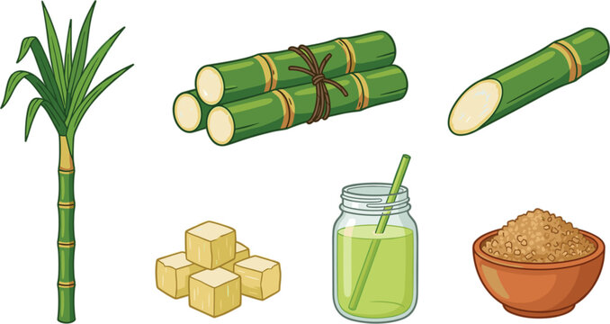 Sugarcane Vector Illustration Element Set Featuring Fresh Green Stalks Cane Plant Bundles Brown Sugar Crystals Cubes and Glass Jar Juice Drink Graphics