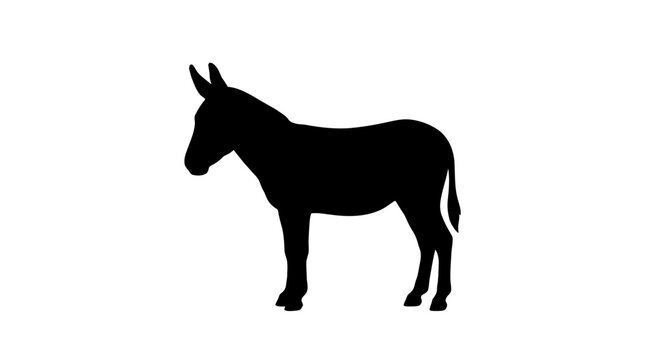 Silhouette of a donkey standing on white background